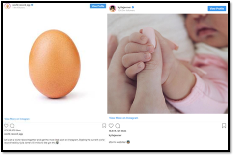 World_Record_Egg on Instagram